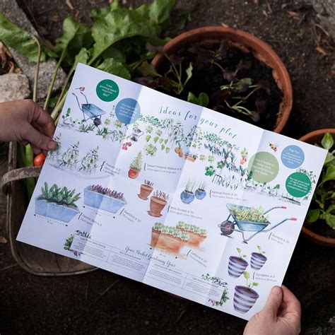Container Garden Veg Patch Gift Voucher - Harrod Horticultural