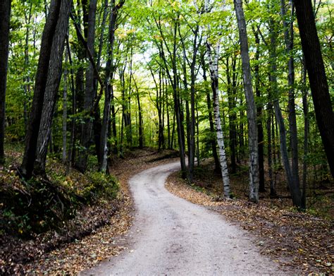 photo path branches ice lake   jooinn
