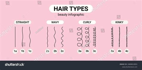 Hair Types Beauty Classification Straight Wavy Royalty Free Stock Vector 2469912853