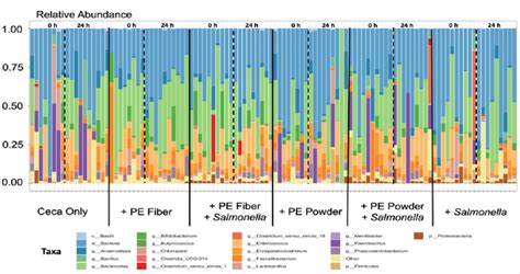 Taxa Bar Plot Showing The Relative Abundance Of The Top Phyla By