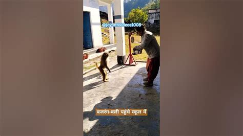 Lunch Time Pe Aaye Mehmaan 😍😍🐵 Bajrangbali Hanuman Shortvideo