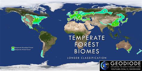 Temperate Forests 6 Geodiode