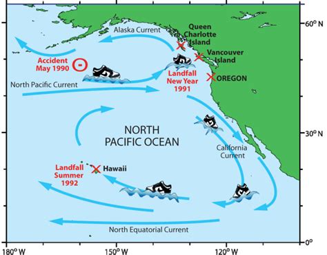 North Pacific Current - Alchetron, The Free Social Encyclopedia