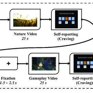 | Schematic representation of the experimental protocol. | Download ...