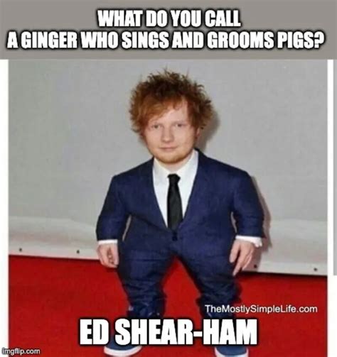 Top Flaming Hot Ginger And Redhead Jokes That Will Get You Laughing For All The Wrong Reasons