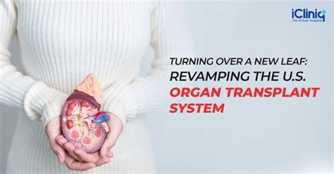 Turning Over A New Leaf Revamping The U S Organ Transplant System