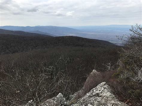 Dripping Rock/Rockfish Gap Hike