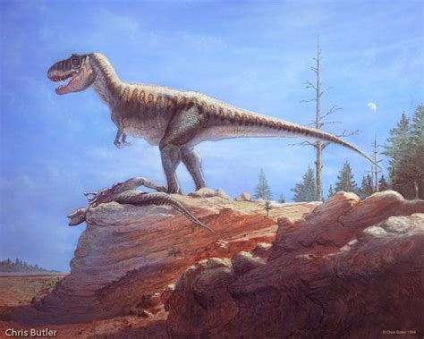 Tyrannosaurus Artwork by Chris Butler Animales prehistóricos