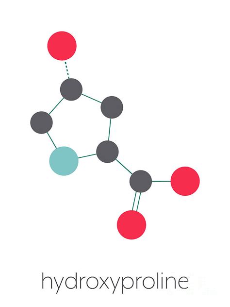 Hydroxyproline Amino Acid Photograph By Molekuul Science Photo Library