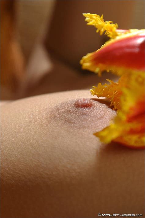 MPL Studios Presents Nata In Forget Me Not Porn Pictures XXX Photos Sex Images 3593494 PICTOA