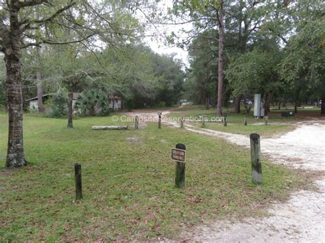 Salt Springs Campground At Ocala National Forest Florida United States