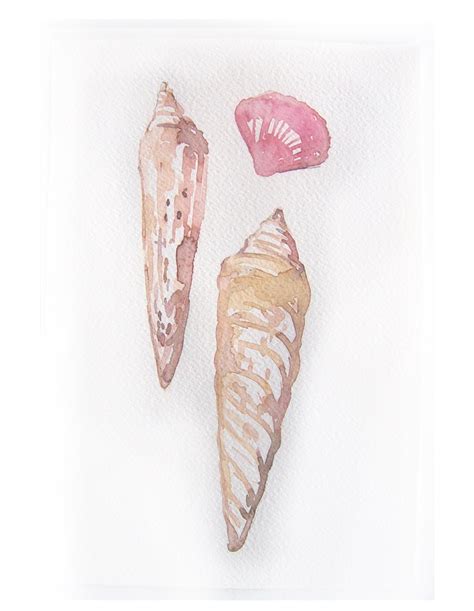 Watercolor painting of seashells. Art original. Ocean sea in