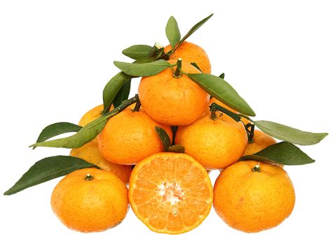 gia quy bao nhieu tien kg mua quyt  dau ngot va