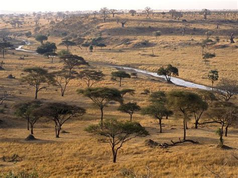 Tarangire National Park, Tanzania - National Geographic | Savanna ...