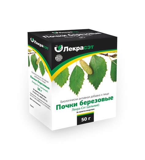 Березы почки (Gemmae Betulae): описание, рецепт, инструкция