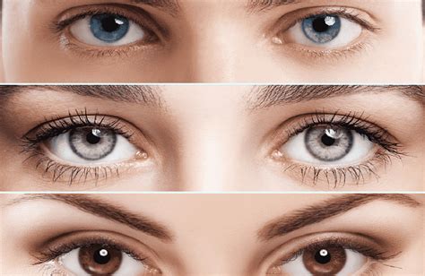 Cores De Olhos Mais Raras E Ex Ticas Do Mundo