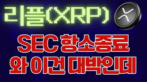 리플 Sec 항소종료 됐습니다 여러분 수고하셨어요xrp 리플리플전망 Youtube