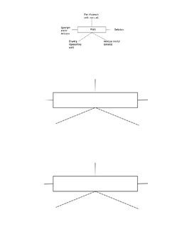 Word Map Template by TheWayIsWIde | Teachers Pay Teachers