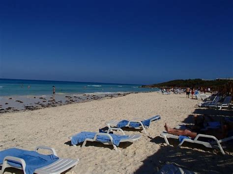 anillla azul beach hotel