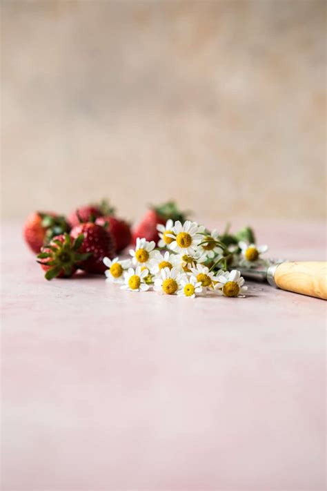 Strawberry Chamomile Naked Cake Half Baked Harvest