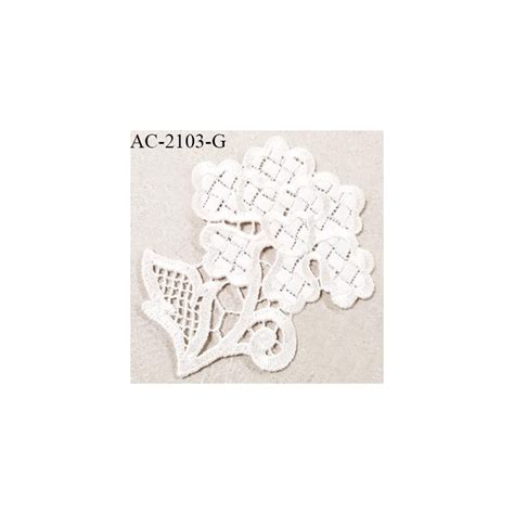 Guipure D Cor Ornement Sp Cial Lingerie Haut De Gamme Motif Coudre Couleur Naturel Tr S Joli