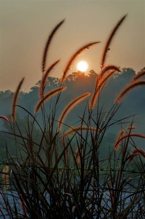 Pin De Patti Bendoritis Em Photography Light