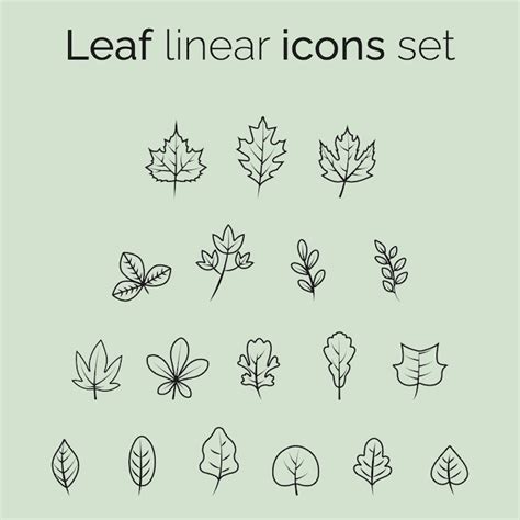 Premium Vector Set Of Linear Icons With Leaves