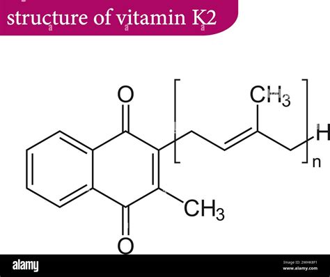 Vitamin K2 Stock Vektorgrafiken Kaufen Alamy