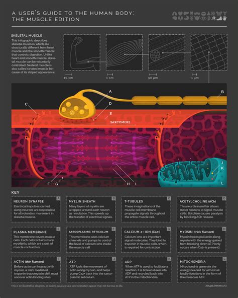 Algunos ejemplos más de infografías
