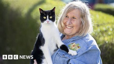 Support cat who 'hears' for deaf owner wins national award