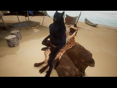 Wolf Lets Hyena Cum In His Mouth Wildlife XVIDEOS