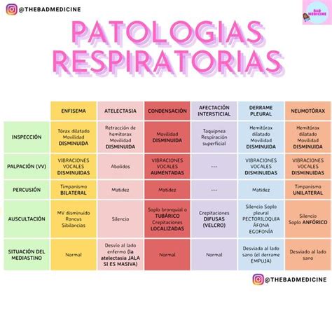 Tipos De Patologias Humanas - 50 Ejemplos De Patologías ️ Características, ¿Que Es? Como Usar – AWSXXN