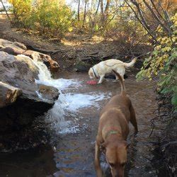 bear creek dog park    reviews dog parks st st  rio grande st colorado