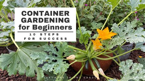 CONTAINER GARDENING For BEGINNERS 10 Simple Steps YouTube