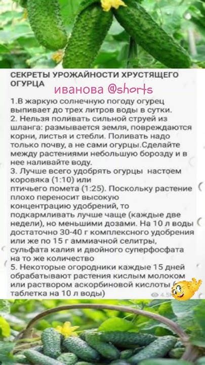ПОЛЕЗНЫЕ СЕКРЕТИКИ хрустящего огурца #shorts #рецепты #советы - YouTube