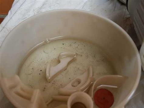 Форд фокус 1 сетка бензонасоса – Ford Focus Sedan Чёрный металлик, 1.8 ...