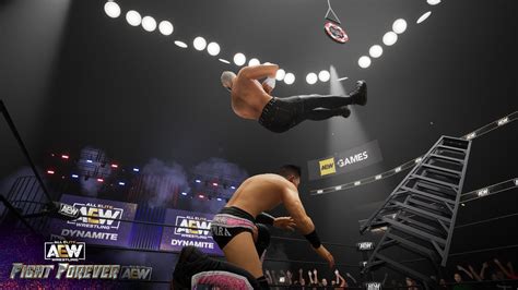 Become A High Flying Legend With Ladders In Aew Fight Forever On June