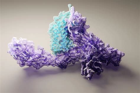 Rosettafold Protein Folding Molecular Dynamics Sw Exxact Corporation