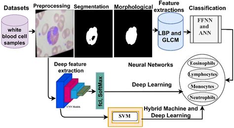 Deep and Hybrid Learning Techniques for Diagnosing Microscopic Blood