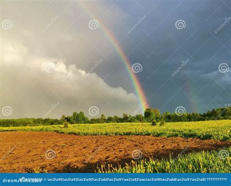 rainbow   sky stock photo image  rain nature