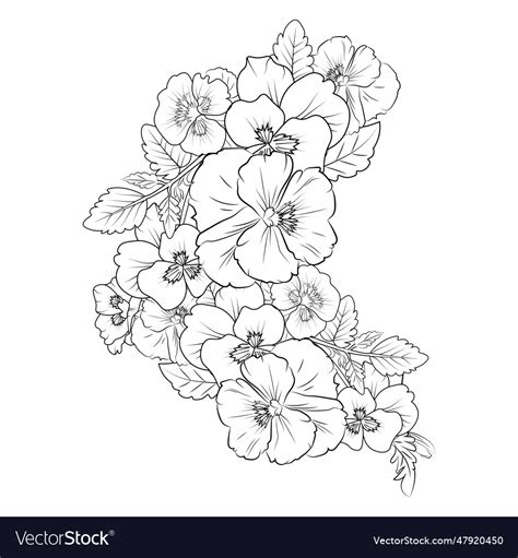 Pansy Flower Drawing Easy Purple Pansies Drawing Vector Image