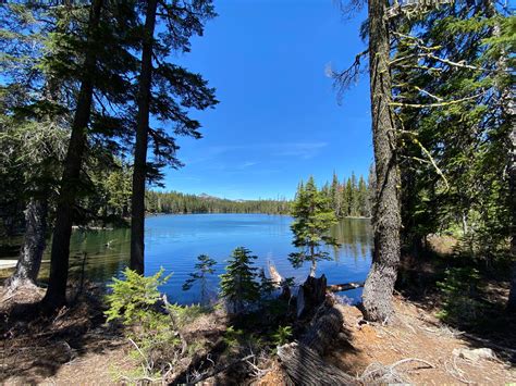 Unearthing Oregon's Hidden Gem: A Detailed Review of the Cold Spring