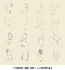 Nude Line Drawing Outline Illustration Stock Vector Royalty Free 2170506513 Shutterstock