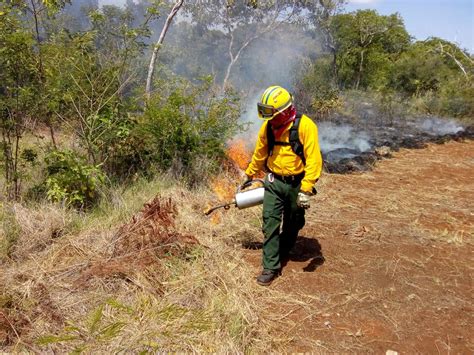 Presenta Campeche 93 Menos Incendios Forestales Comisión Nacional