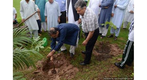 Arid University Launches Tree Plantation Drive Urdupoint