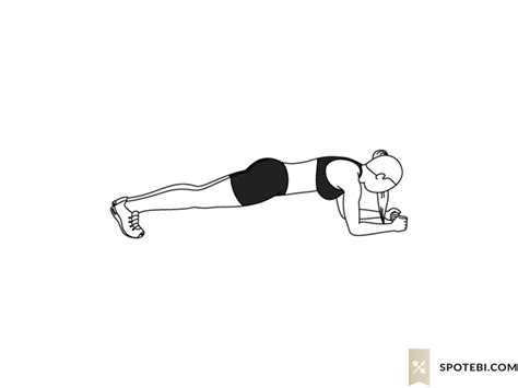 Spiderman Plank | Illustrated Exercise Guide | Plank workout, Workout ...