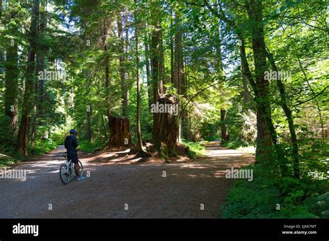 Stanley Park, Vancouver, Canada Stock Photo - Alamy