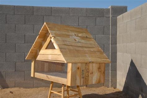 quail nesting boxes | BackYard Chickens