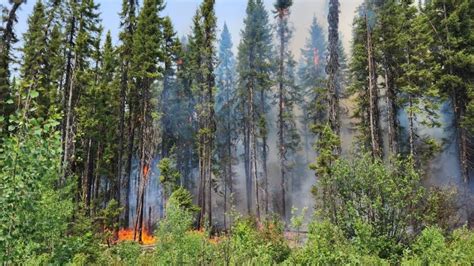 Quebec Public Security Ministry warns forest fires could worsen | CBC News