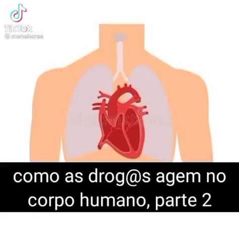 Como As Agem No Corpo Humano Parte 2